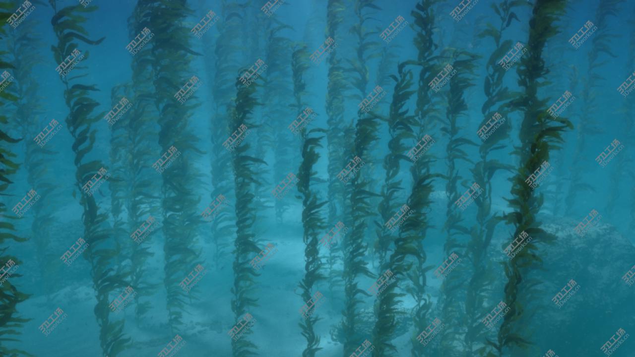 images/goods_img/2021040234/Seaweed Animated 3D model/1.jpg